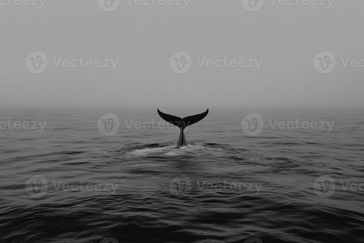 A black and white photo of a whale tail in the water