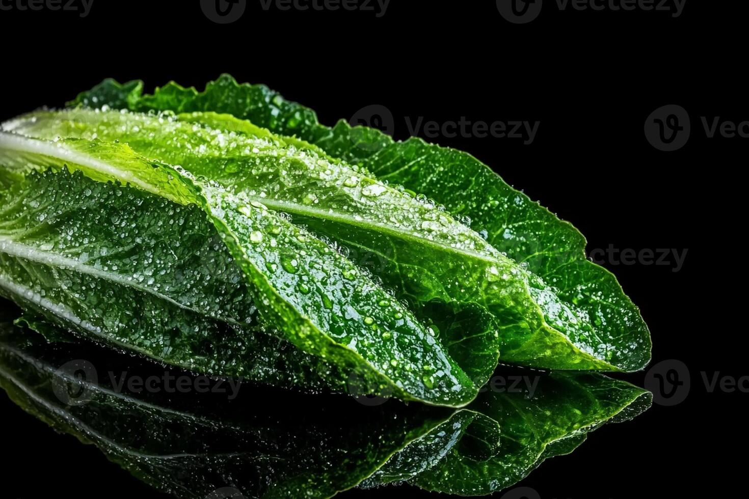 A close up of a leaf of lettuce photo