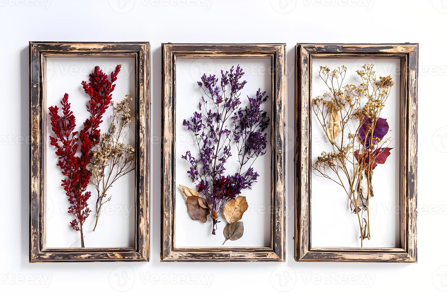 Dried flowers and leaves showing autumn colors framed on white background photo