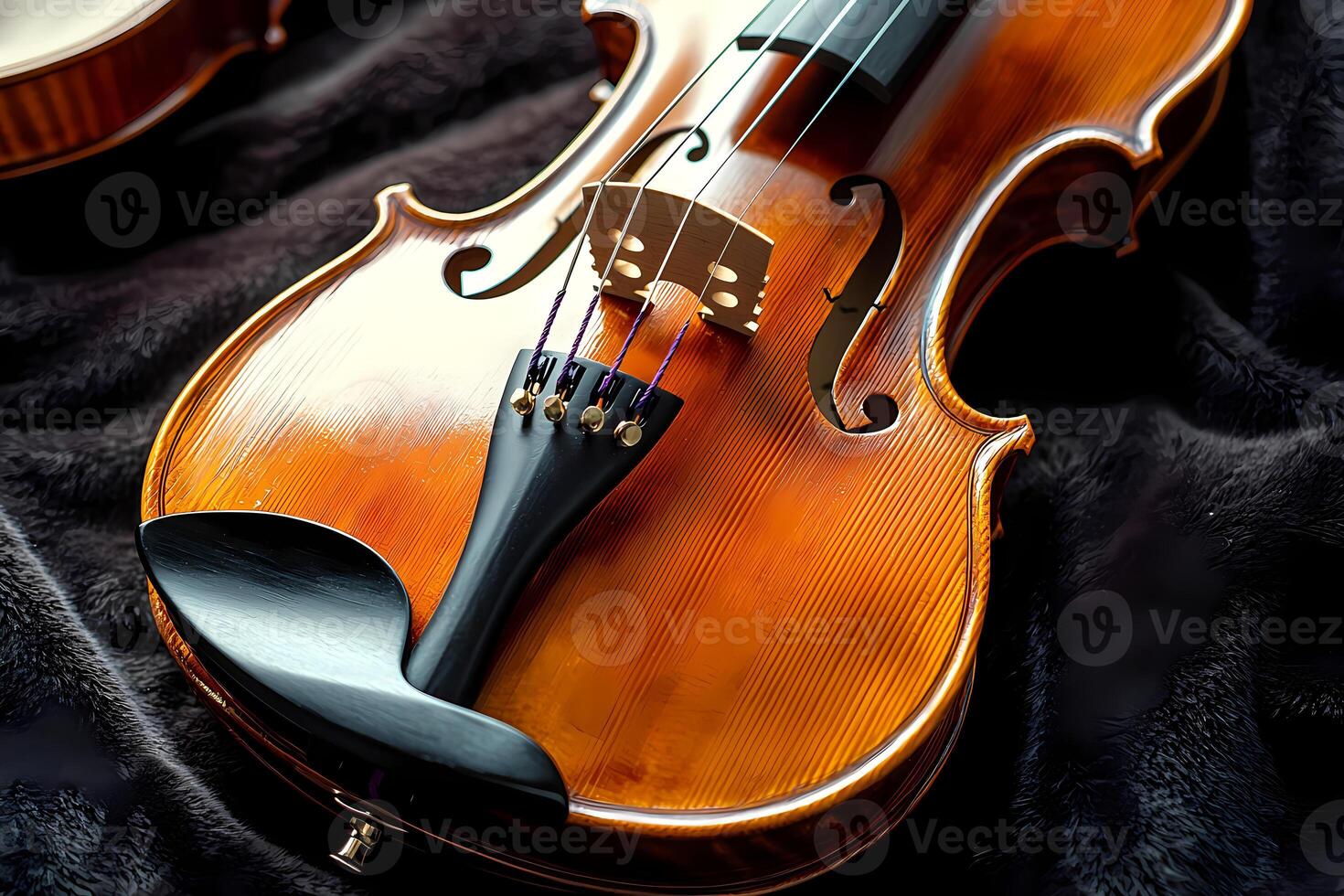 Violin resting on soft black velvet blanket showing fine craftsmanship photo
