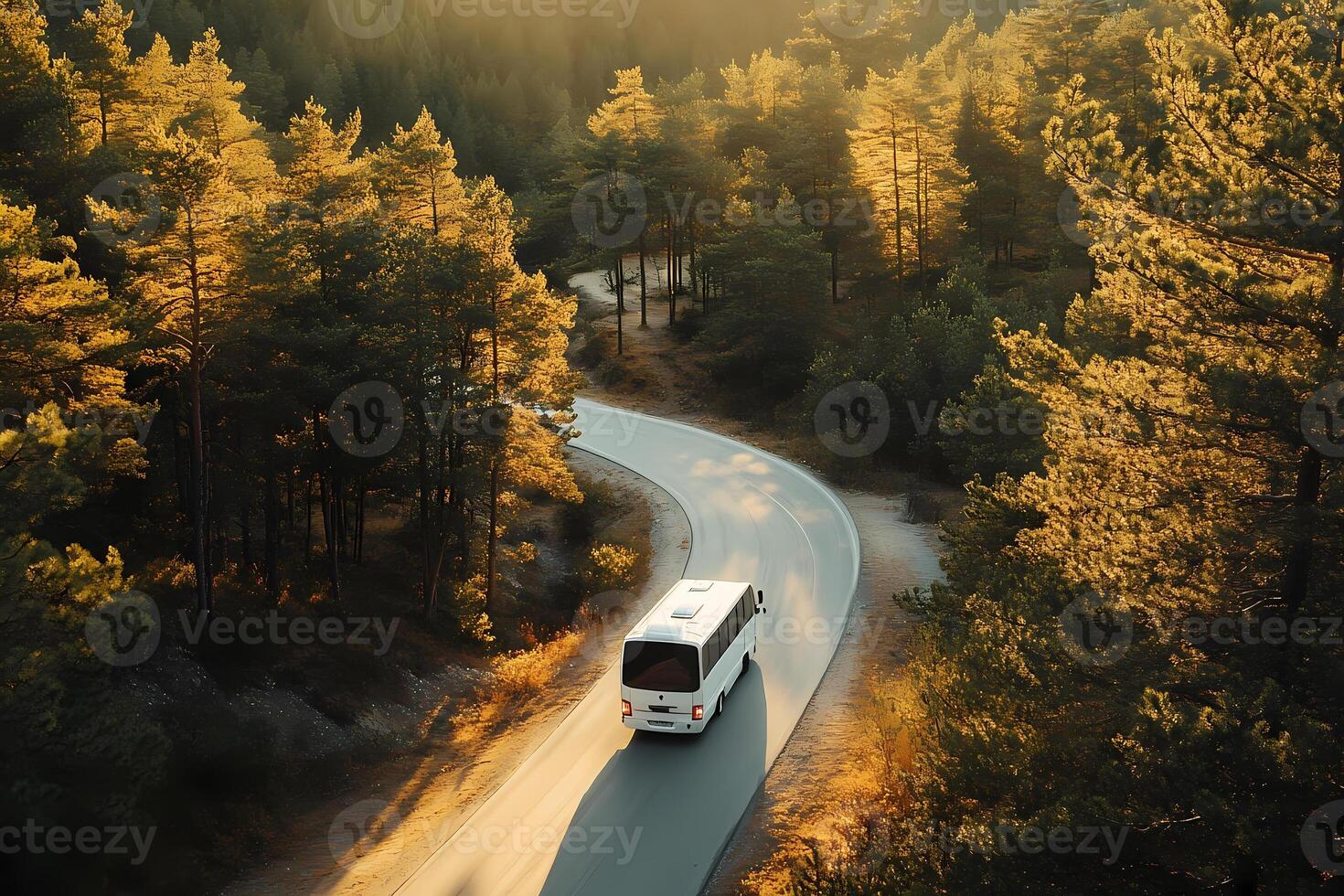 White bus traveling on a winding road through a forest at sunset photo