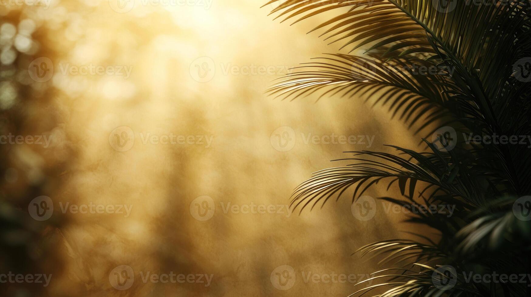 A palm tree with sunlight shining through it photo