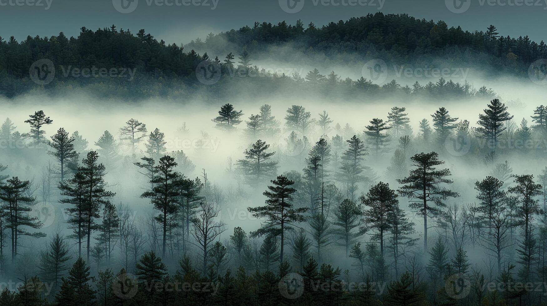 A foggy forest with trees and mountains in the background photo