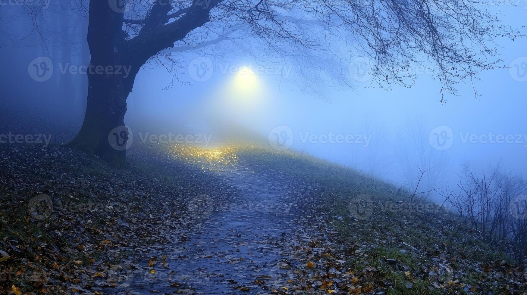 A path in the fog with a light shining down photo