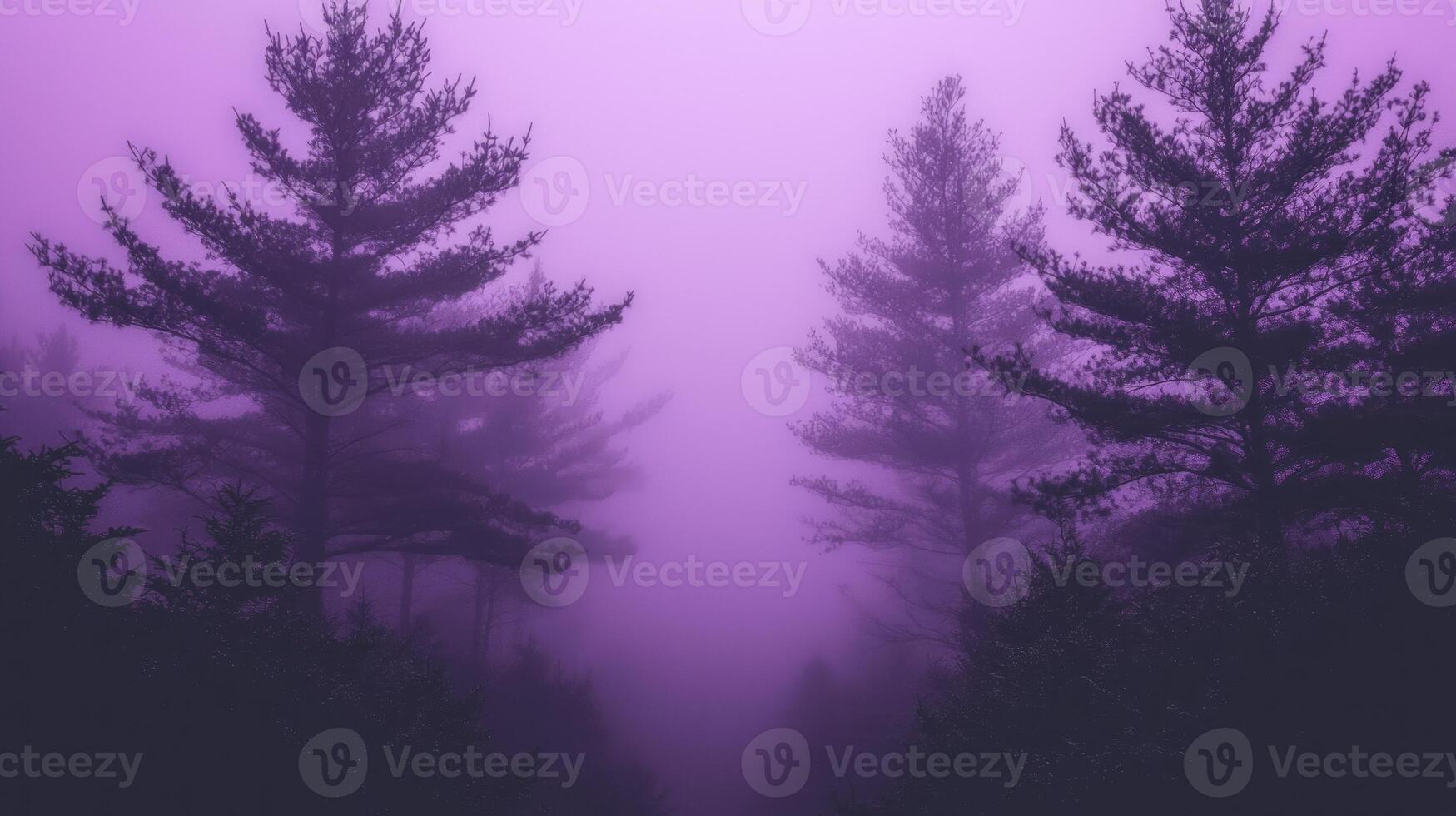 Purple foggy forest with trees in the background photo