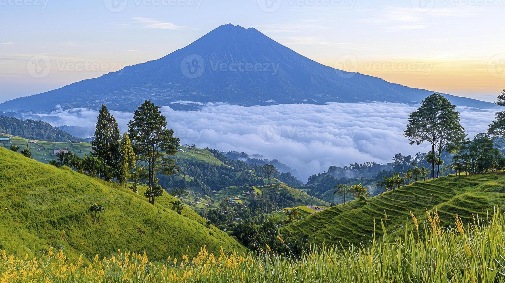 A mountain with green grass and trees photo