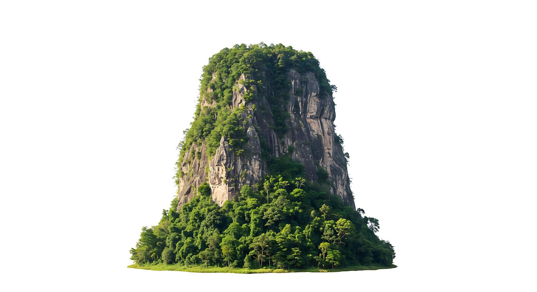A large rock with a green tree on top photo