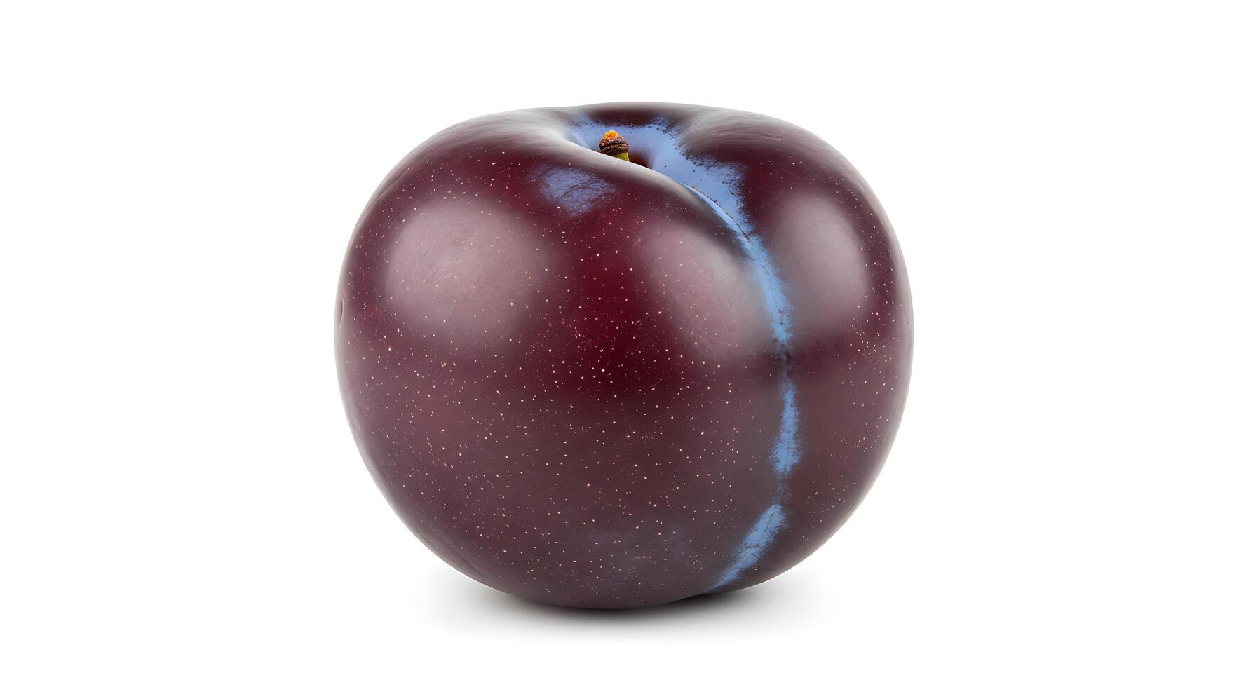 A plum on a white background with a blue stripe photo