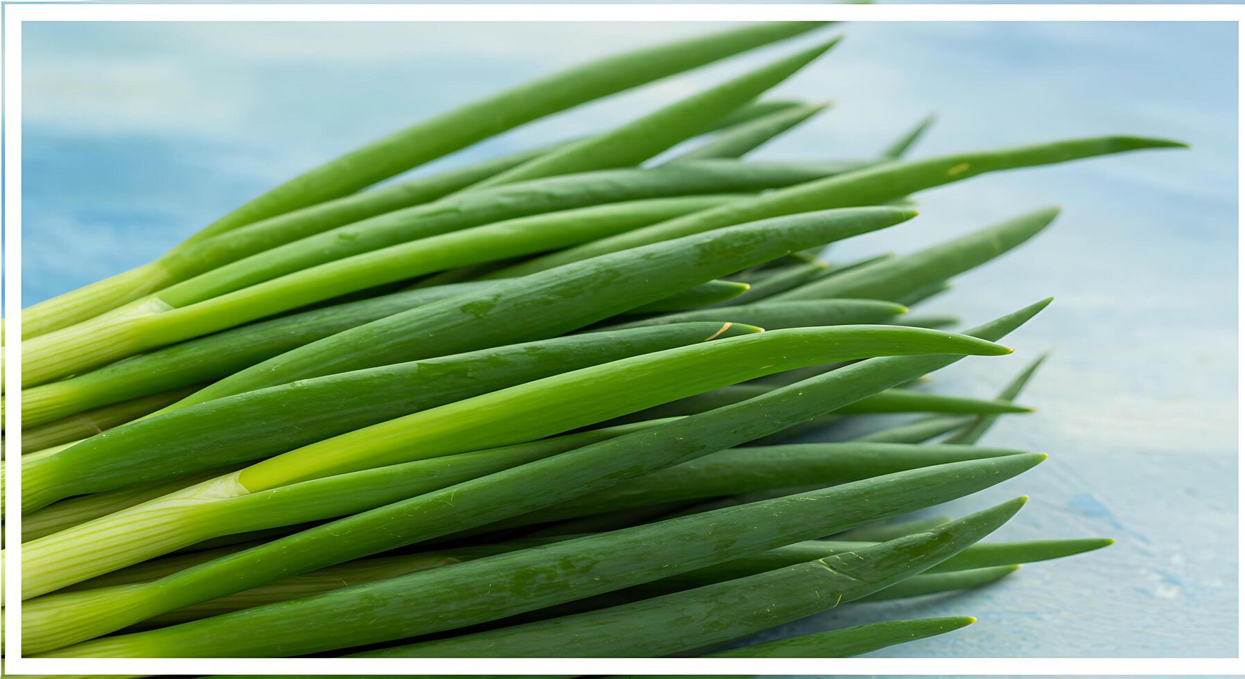 A close up of a bunch of green onions photo