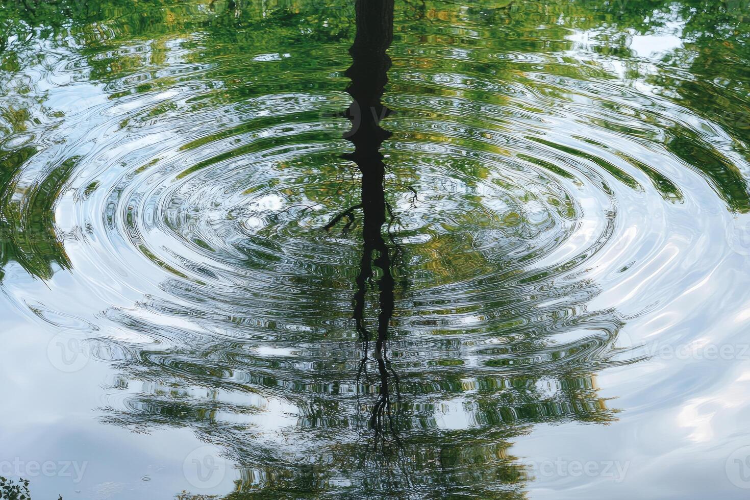 Rippled water reflecting a serene treetop. photo