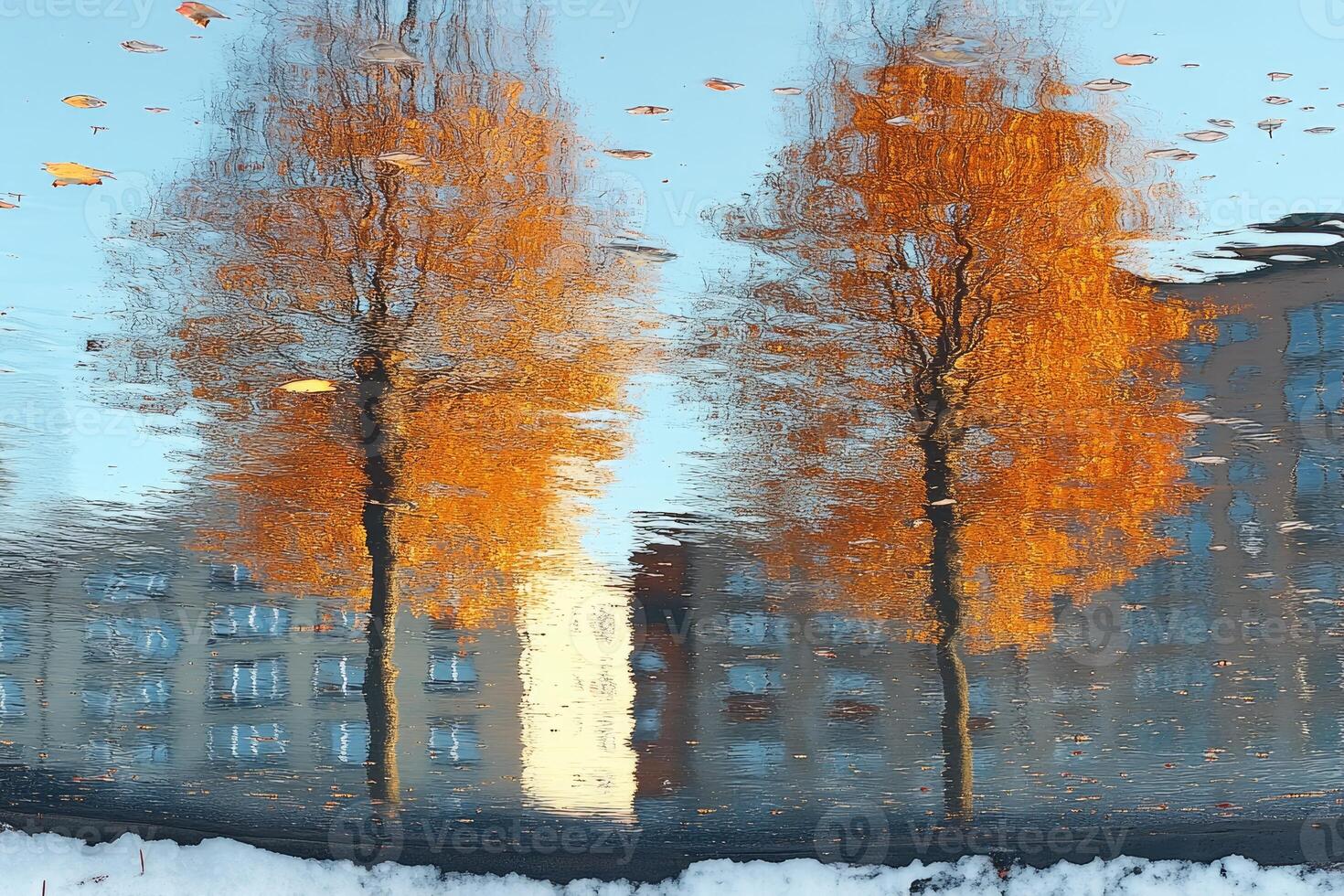 Autumnal reflections of trees in a puddle on a wintry day. photo