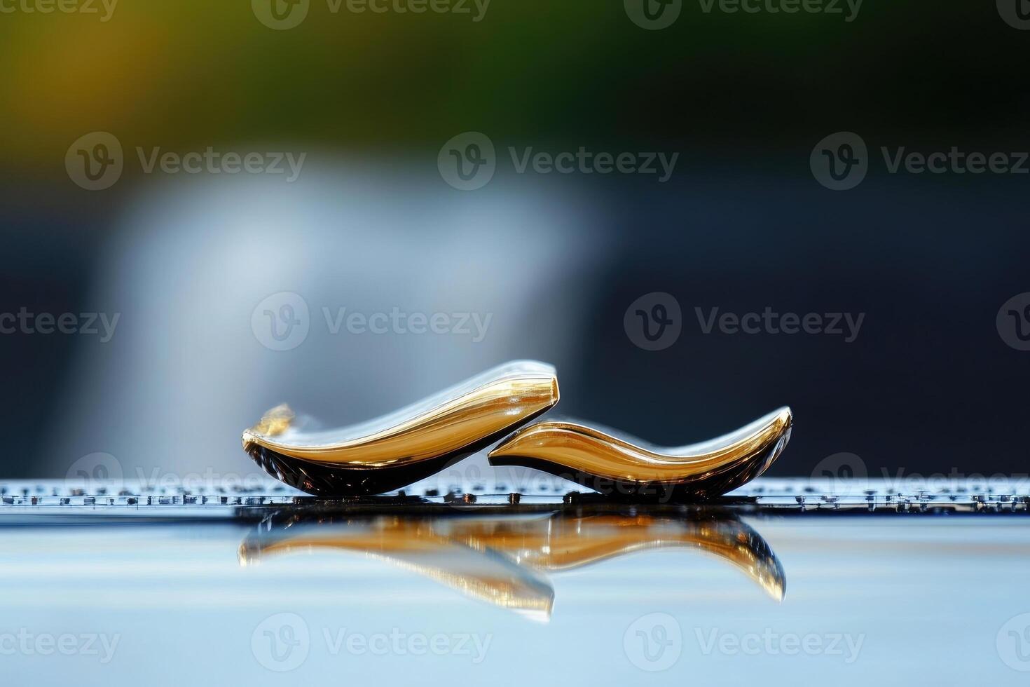 Two decorative golden objects resting on a reflective surface photo