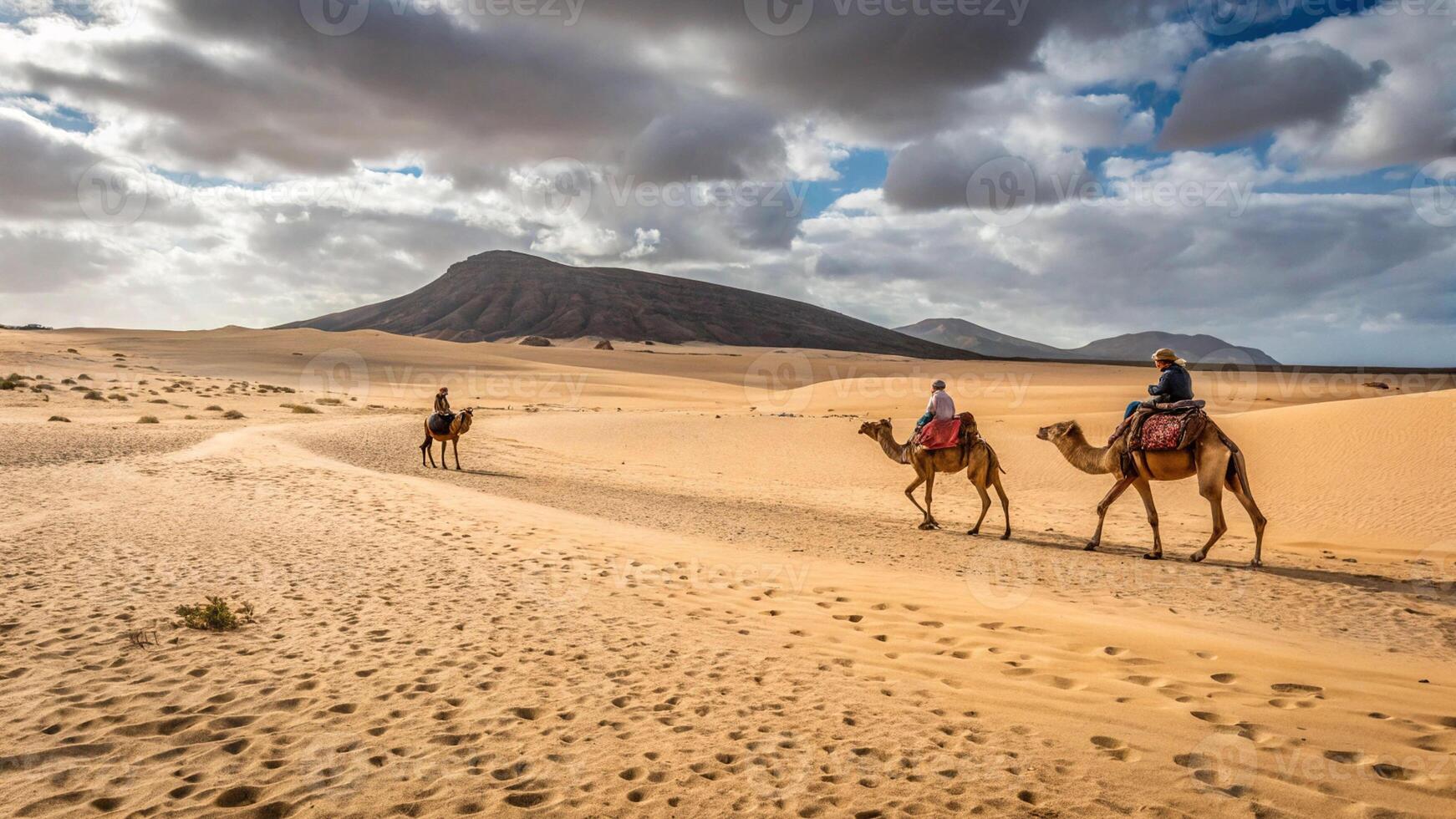 desert sand sandy terrain barren landscape camel photo
