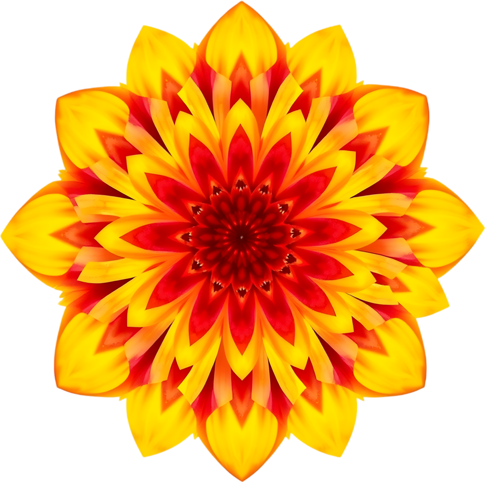 Balanced floral artwork in warm palette with geometric form. . png