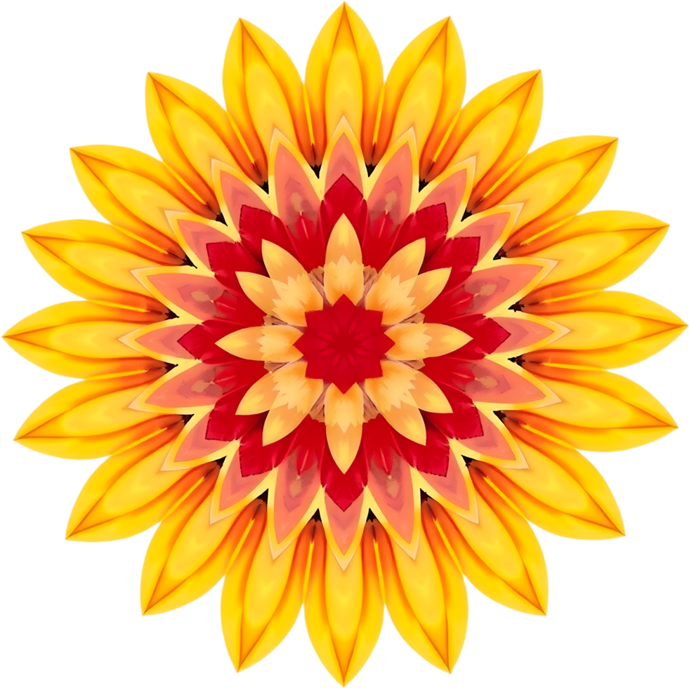 Gradient floral art with symmetrical curves in warm tones. . png