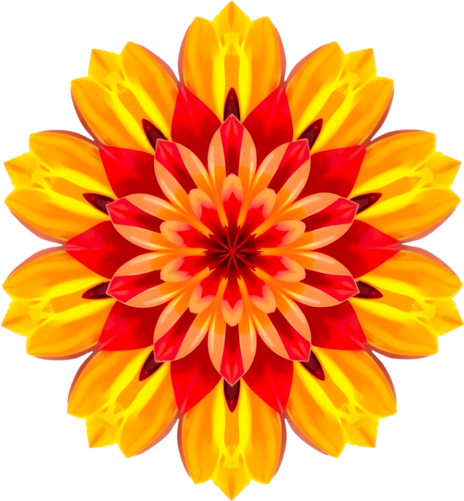 Elegant warm flower design with symmetrical mandala artistic elements. . png