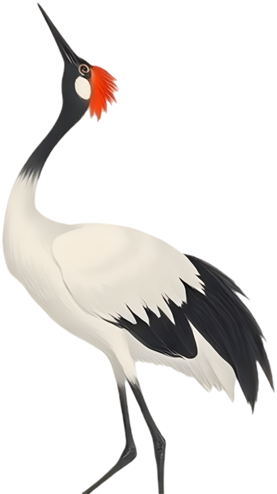 Soft feathered crane in ink serenity reflects nature beauty. . png