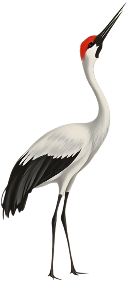 Refined red crowned crane shown in peaceful Asian ink art. . png