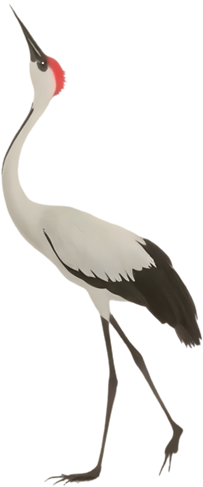 Japanese ink crane gazes upward in elegant minimal design. . png