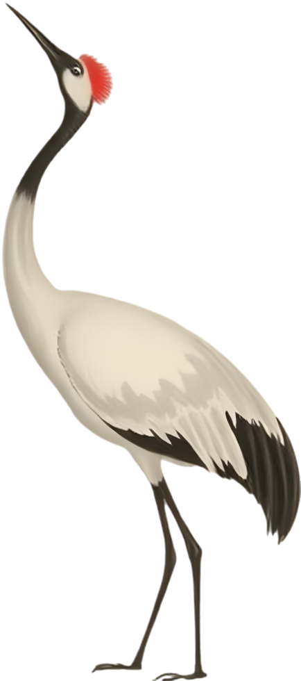 Classic brush painted red crowned crane in noble still stance. . png