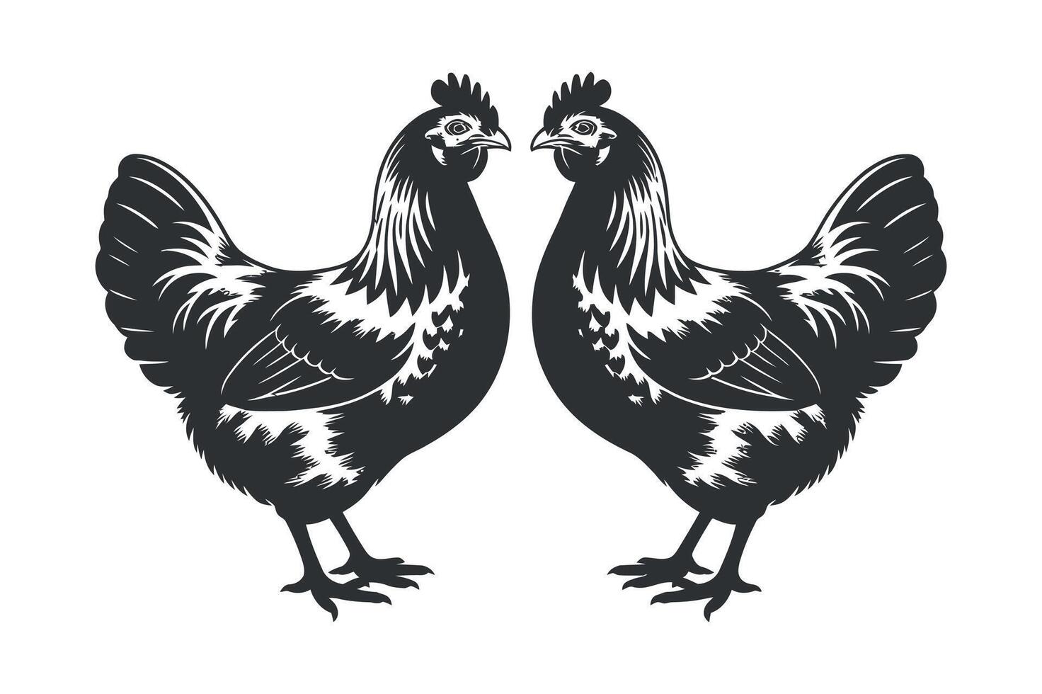 Two hens facing each other in a symmetrical black and white background vector