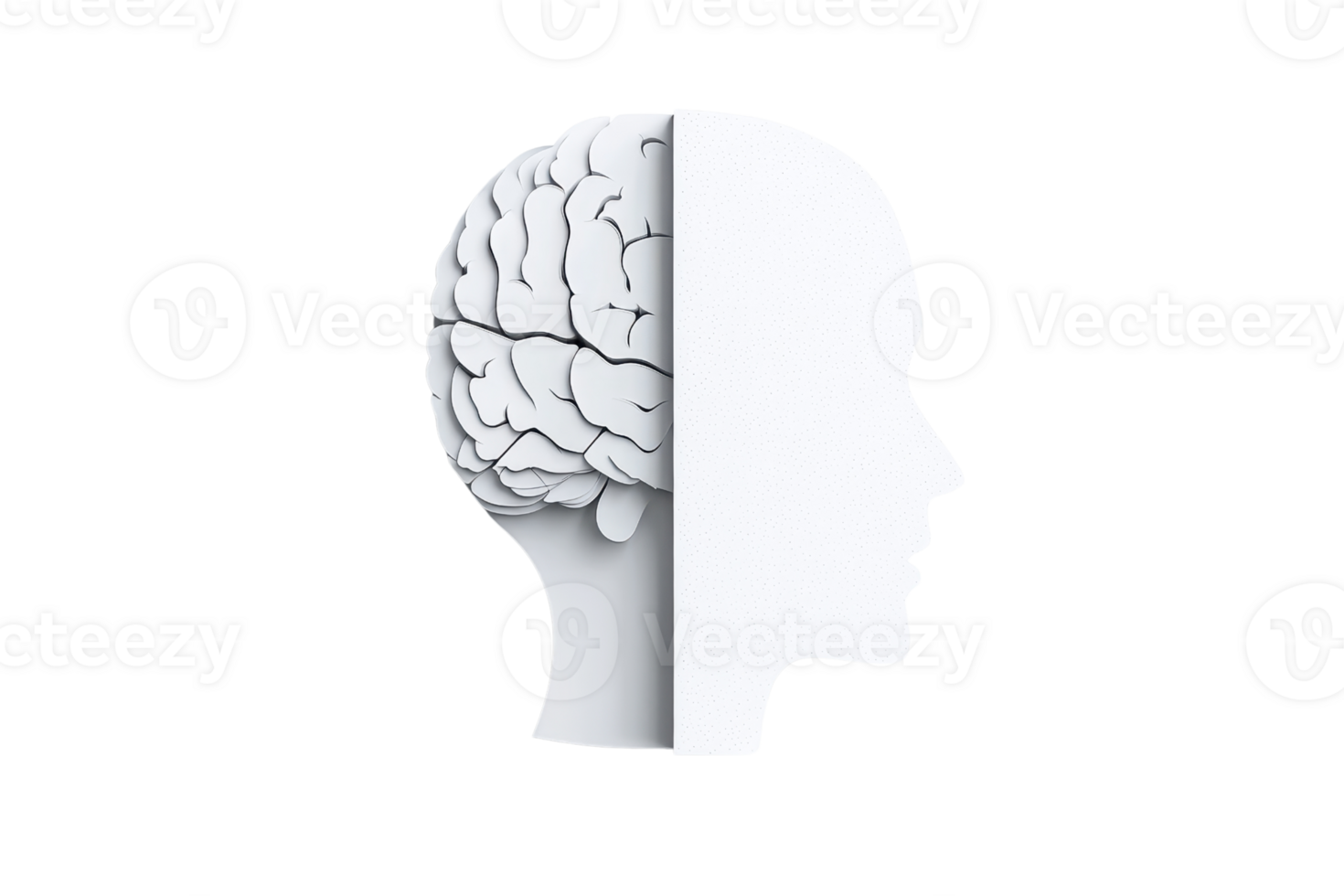 A stylized profile displaying a brain juxtaposed with a human head, illustrating the connection between thought and identity. png