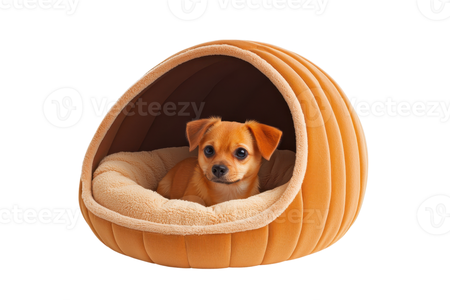 A cozy pet bed featuring a small dog nestled inside, showcasing a soft interior and a unique, rounded design. png