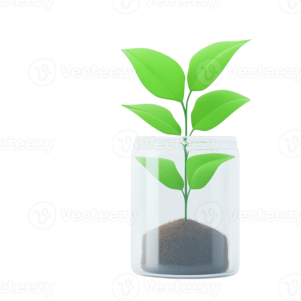 A green plant with vibrant leaves growing from soil inside a glass jar. png