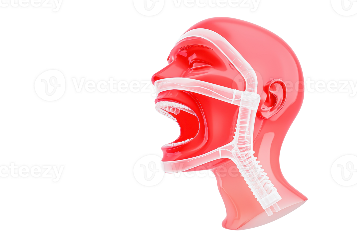 A detailed anatomical model of a head, showcasing the mouth and facial structures, emphasizing the act of screaming. png