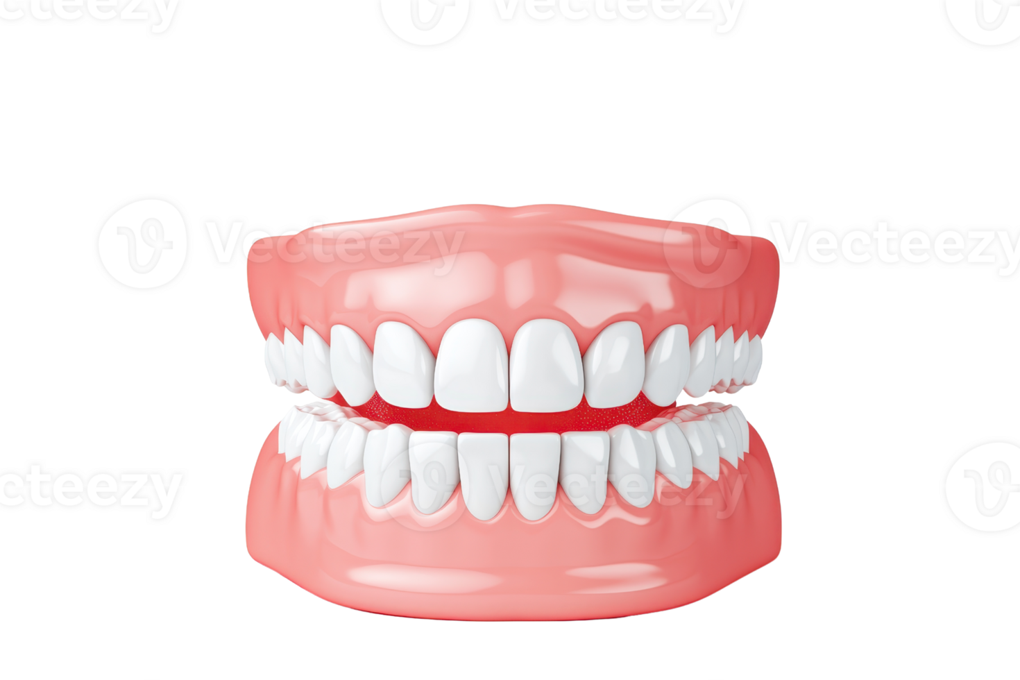 A detailed rendering of a set of human teeth in an open mouth, showcasing dental features and alignment. png