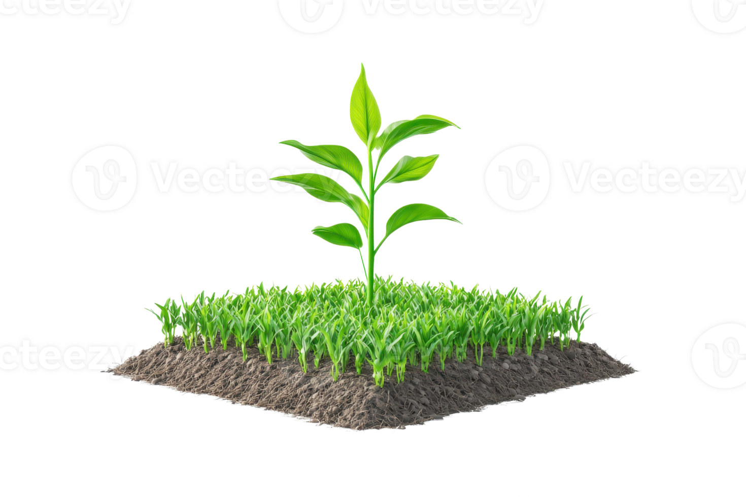 A vibrant green plant emerges from rich soil, surrounded by lush grass, symbolizing growth and vitality. png