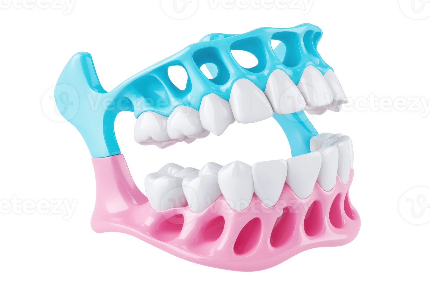 A colorful dental model showcasing an open jaw with detailed teeth and gums for educational purposes. png