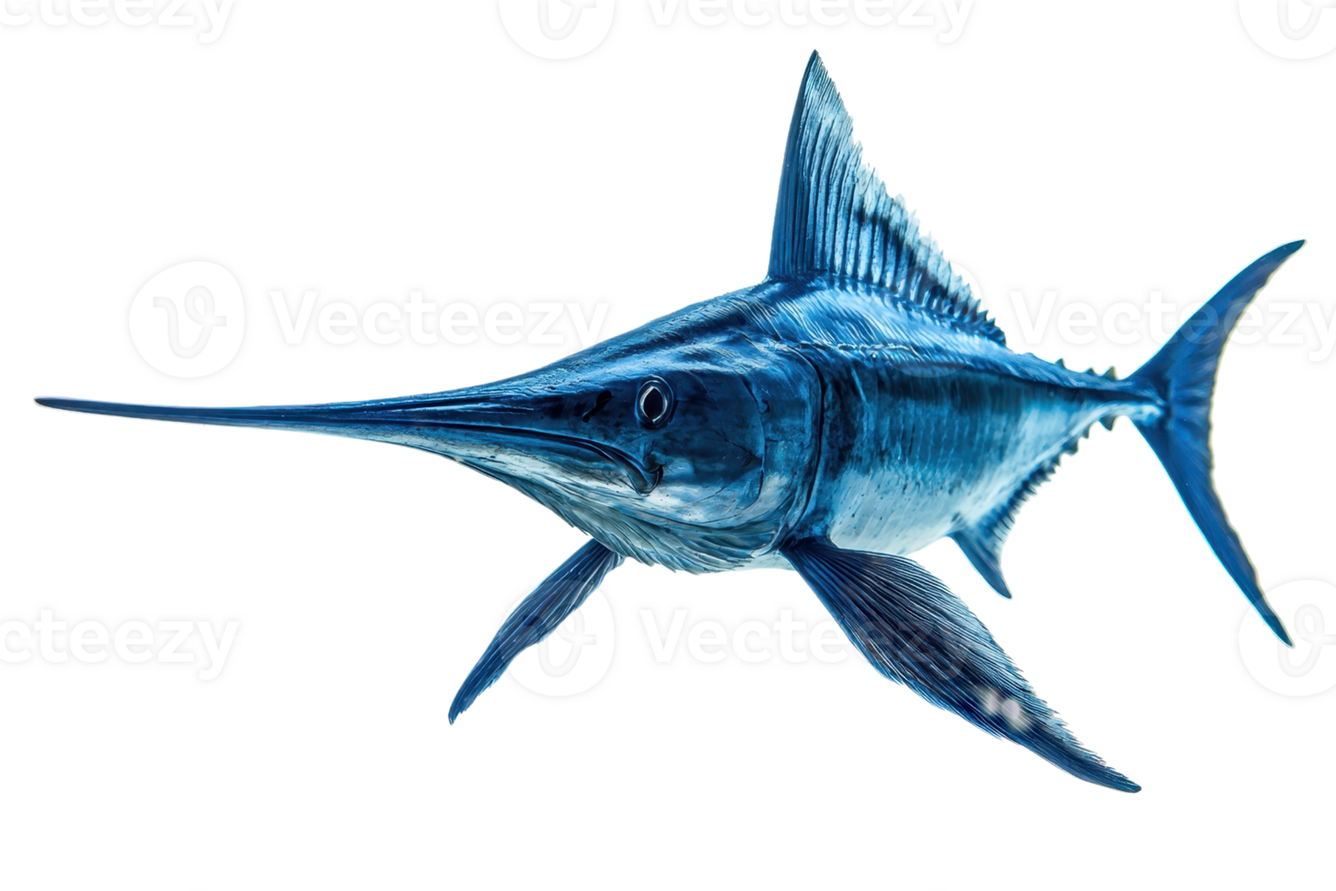 A sleek, blue swordfish glides gracefully through the water, showcasing its long bill and streamlined body. png