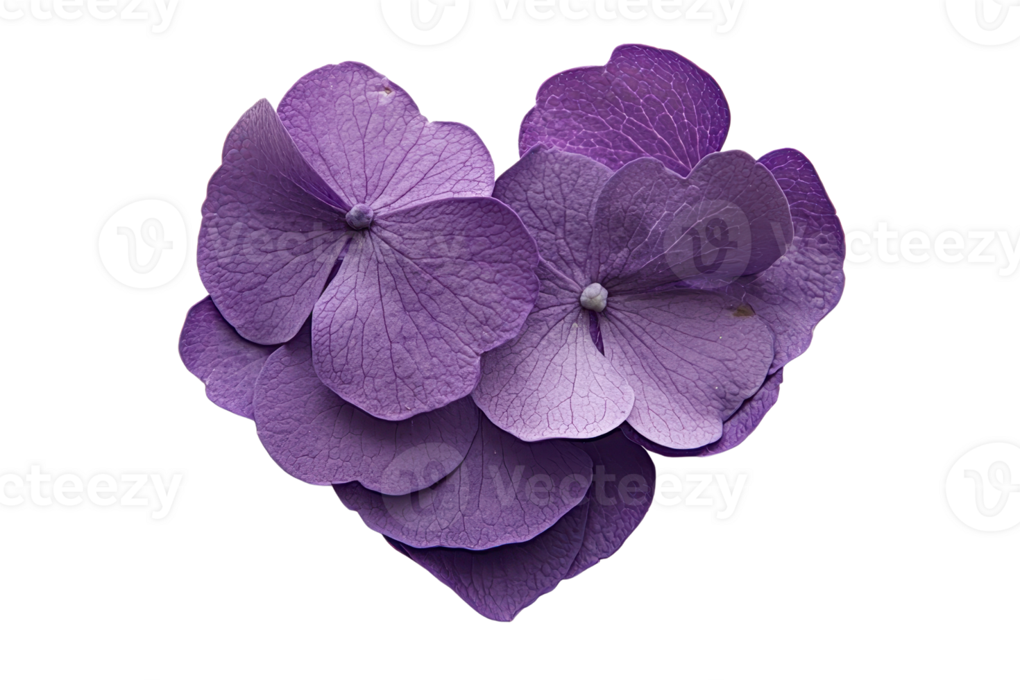 A heart-shaped arrangement of delicate purple petals, showcasing intricate textures and hues. png