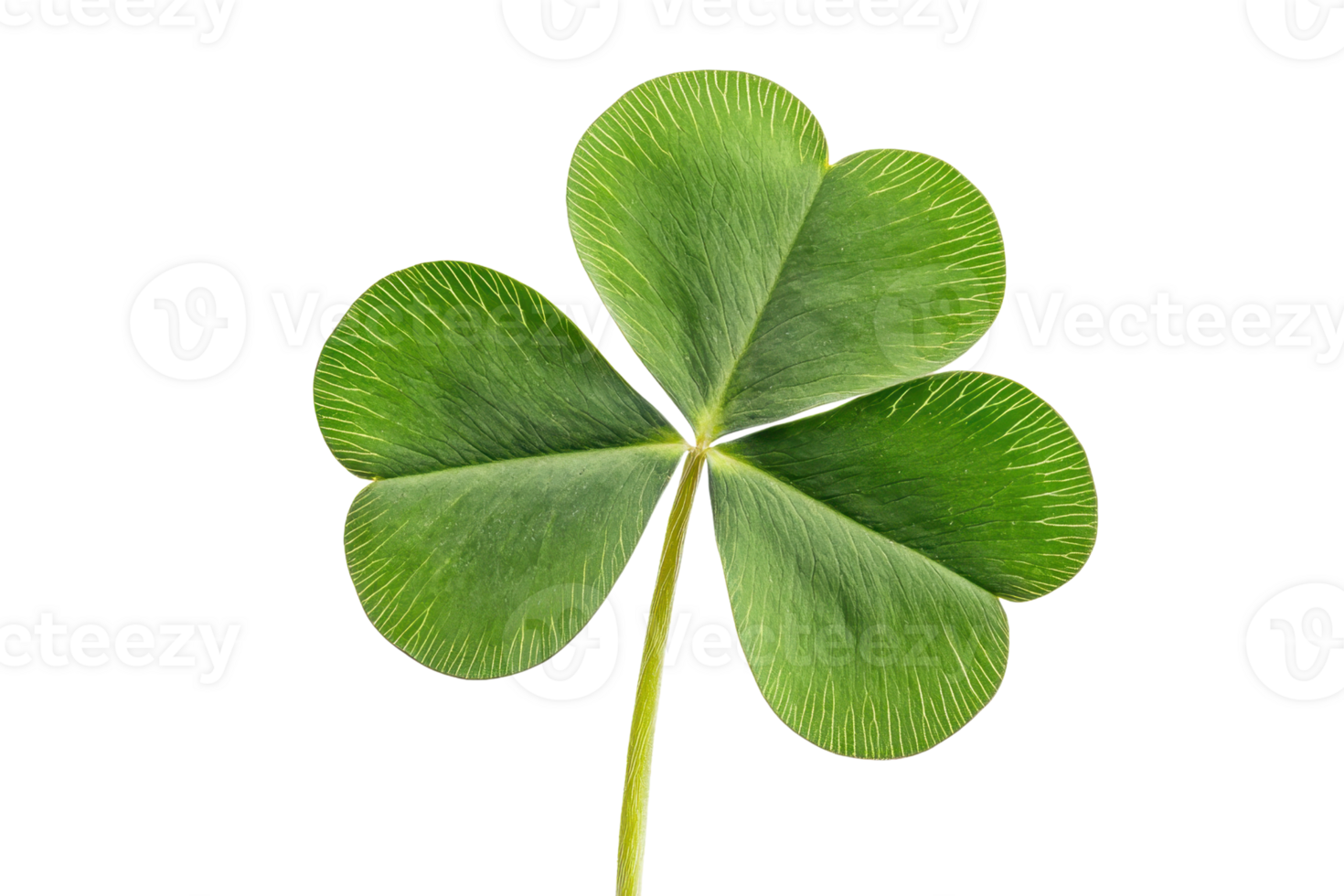 A vibrant green four-leaf clover with distinct, textured leaves and a slender stem. png