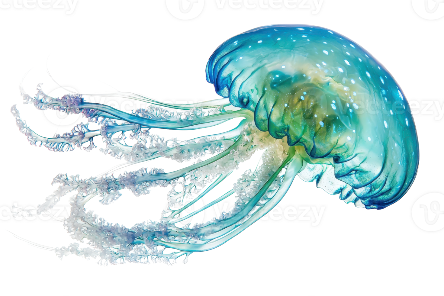 A vibrant jellyfish with flowing tentacles showcases intricate patterns and colors, creating a captivating marine spectacle. png