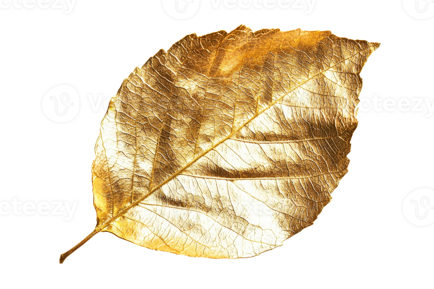 A shimmering golden leaf showcasing intricate textures and natural design. png