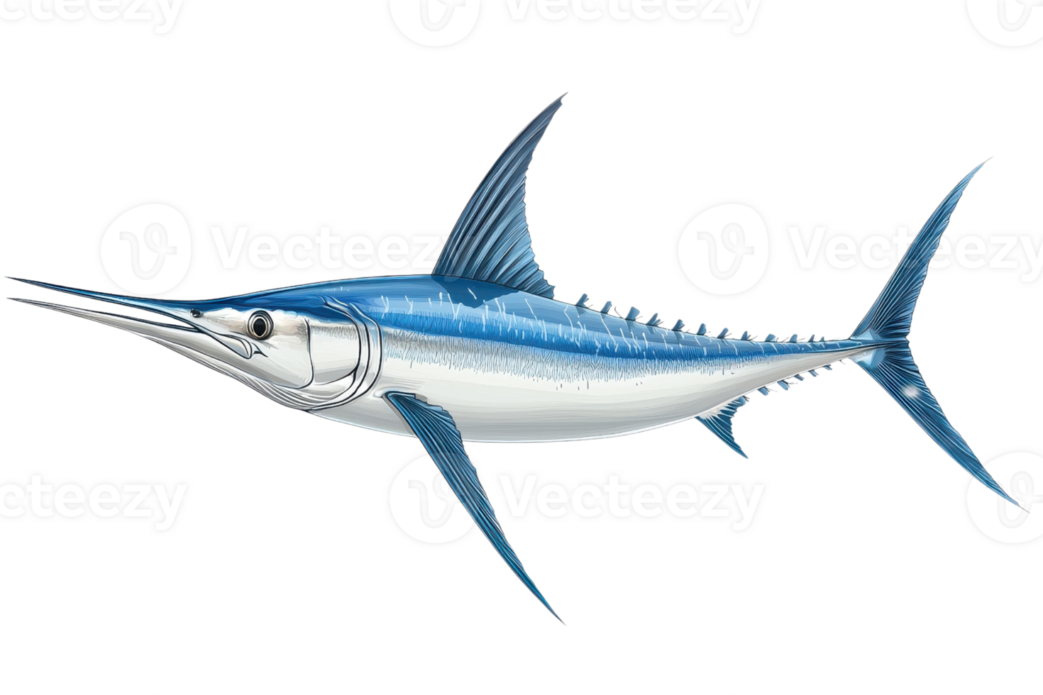 A sleek, blue marlin with a long bill, prominent fins, and a streamlined body, showcasing its elegant aquatic form. png