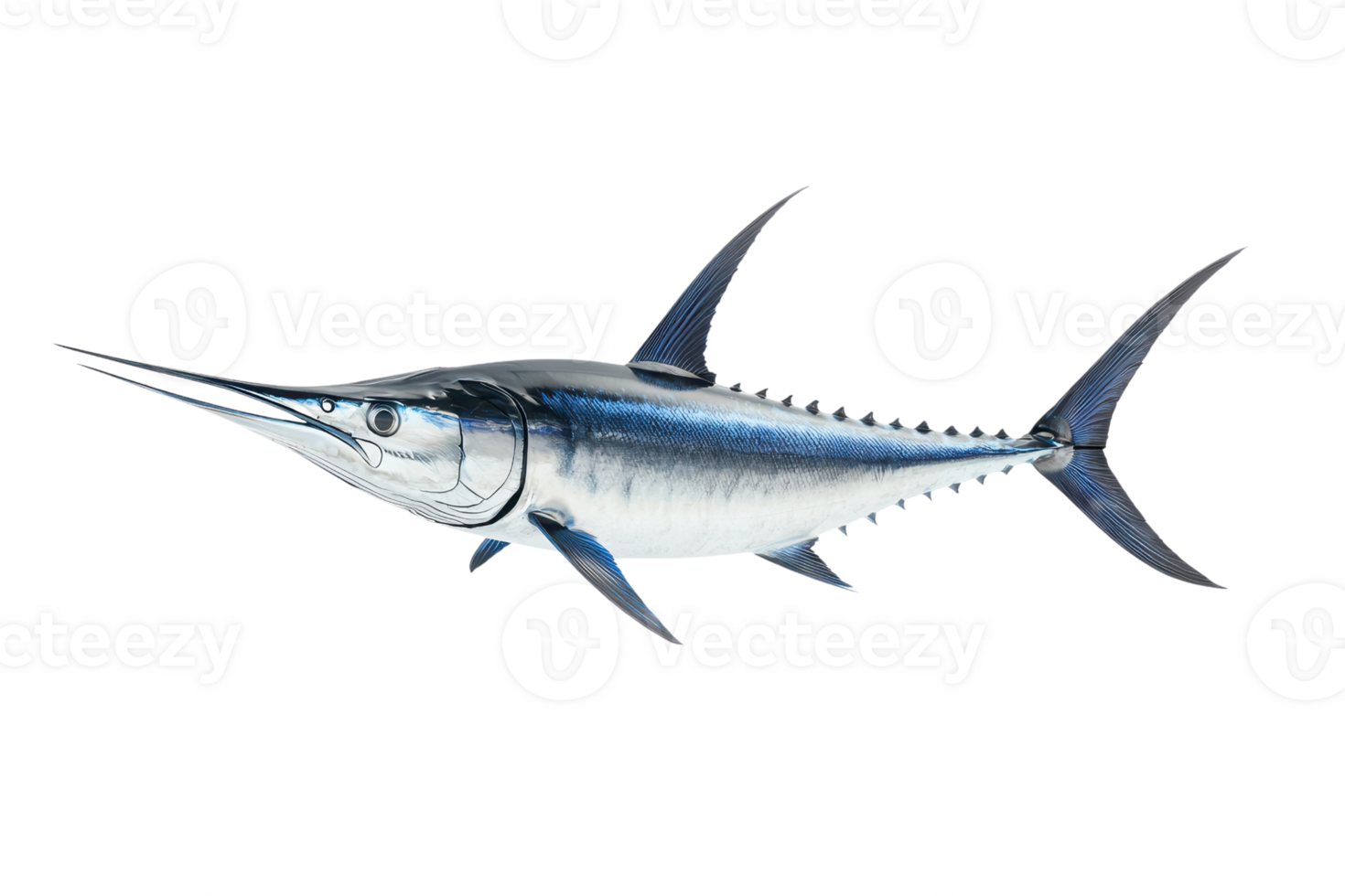 A sleek, streamlined fish with a long bill and sharp fins, showcasing its iridescent blue and silver body. png