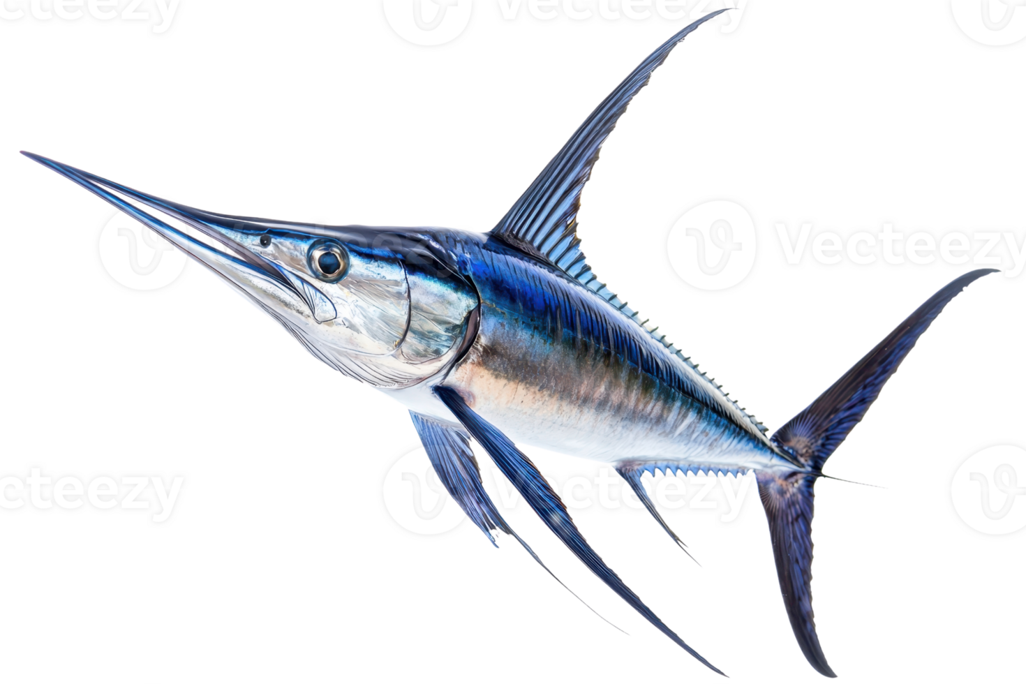 A sleek, blue swordfish with elongated body and sharp snout, showcasing its streamlined shape and powerful fins. png