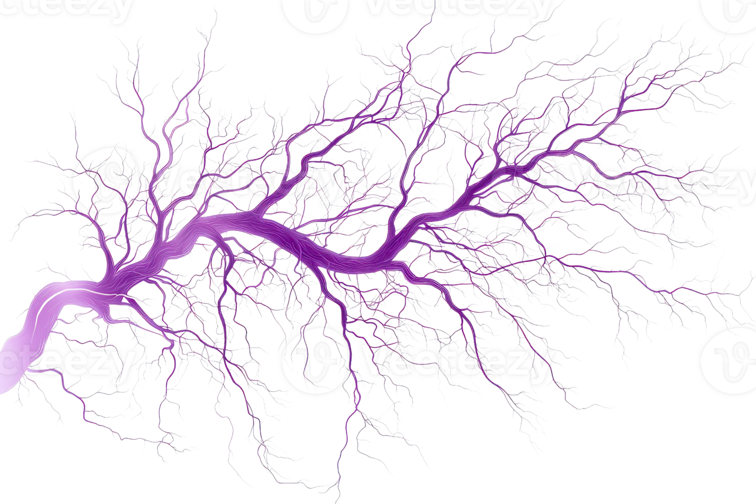 A vibrant purple lightning bolt with intricate branching patterns, showcasing dynamic energy in a striking visual display. png