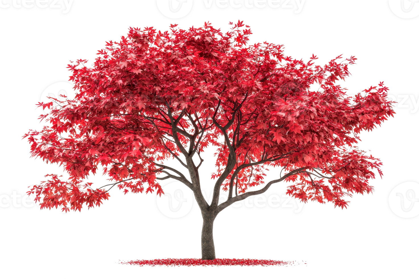 A vibrant red tree with lush foliage and a sturdy trunk, creating a striking visual impact. png