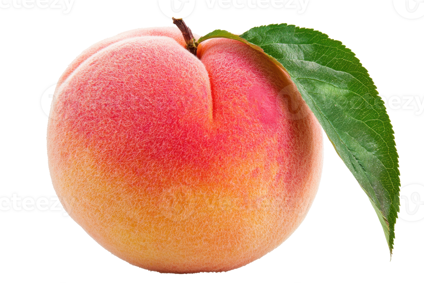 A ripe peach with a soft, velvety skin and a single green leaf attached at the top. png
