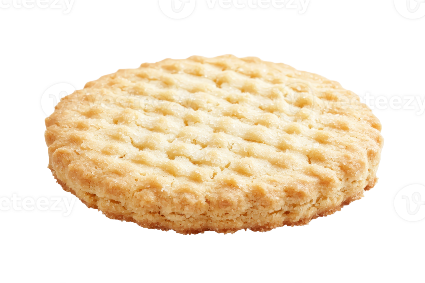 A round, golden-brown biscuit with a textured surface, featuring a grid-like pattern. png