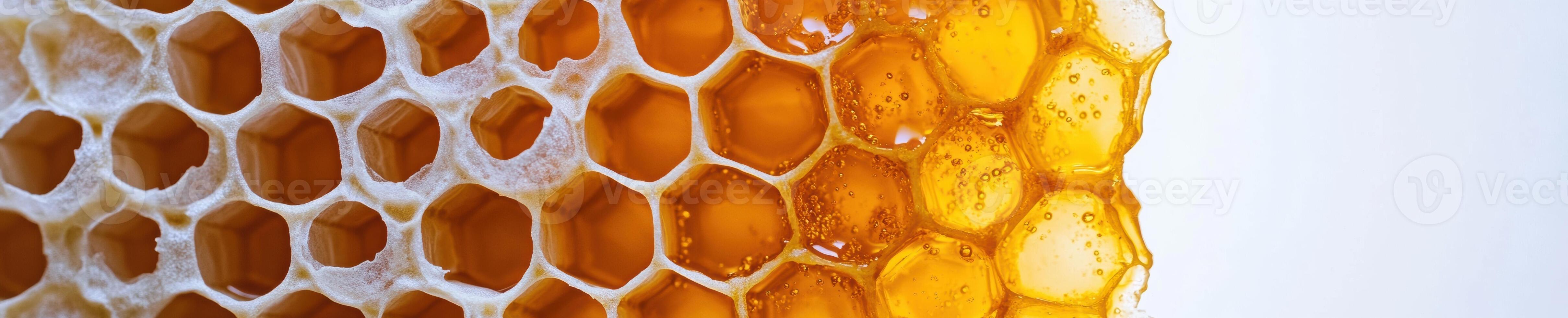 Highly detailed macro shot of honeycomb structure with honey photo