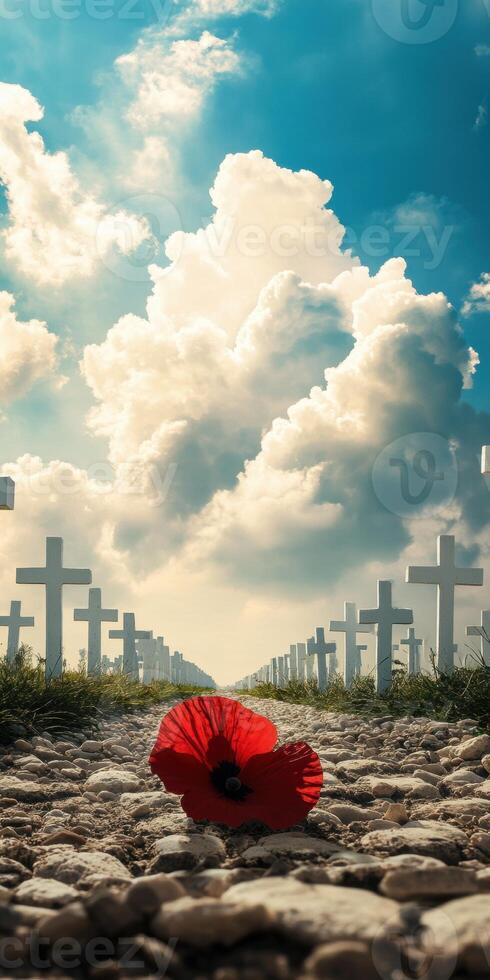 Tranquil memorial scene with white crosses and red poppy under dramatic cloudy sky photo