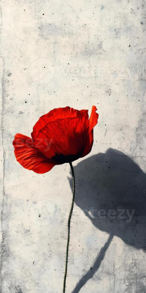 Ultra realistic red poppy flower against textured background photo