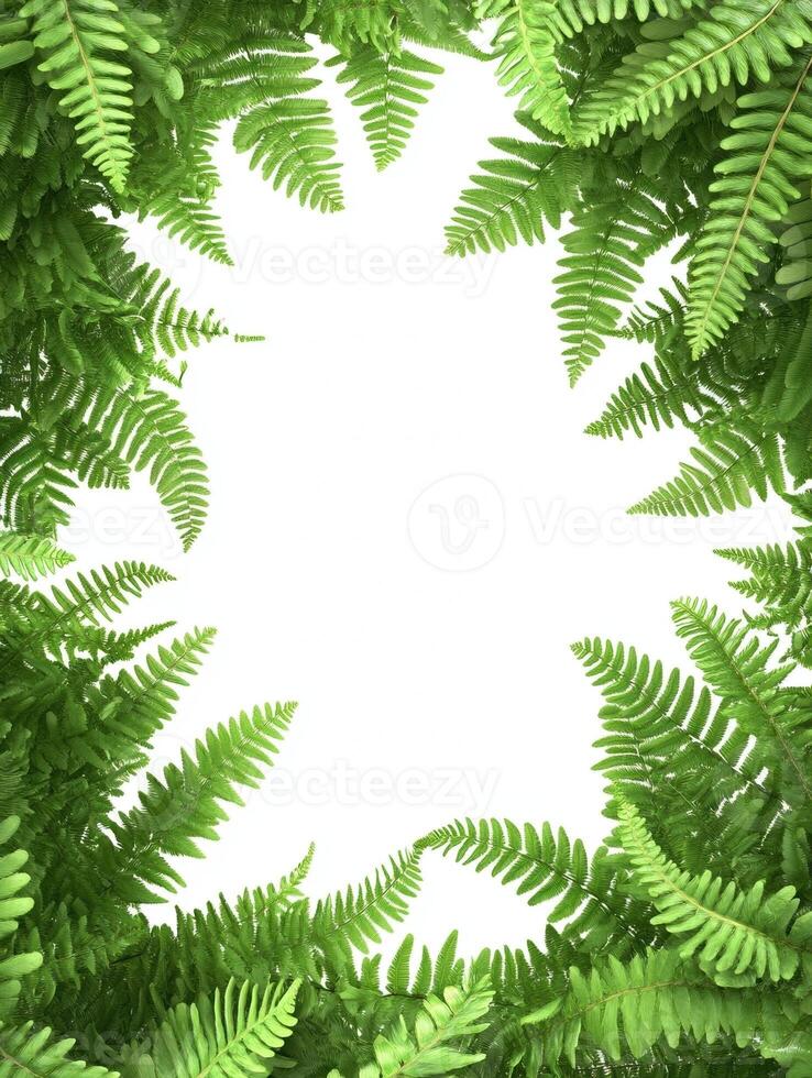 Lush green fern frame background design for nature themed projects photo
