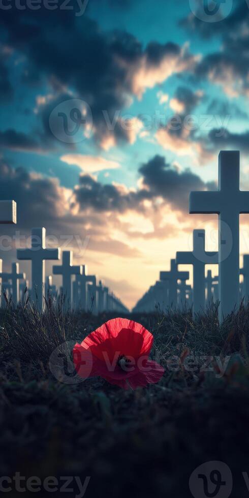 Ultra realistic row of white crosses at sunset with poppy flower symbolizing remembrance photo