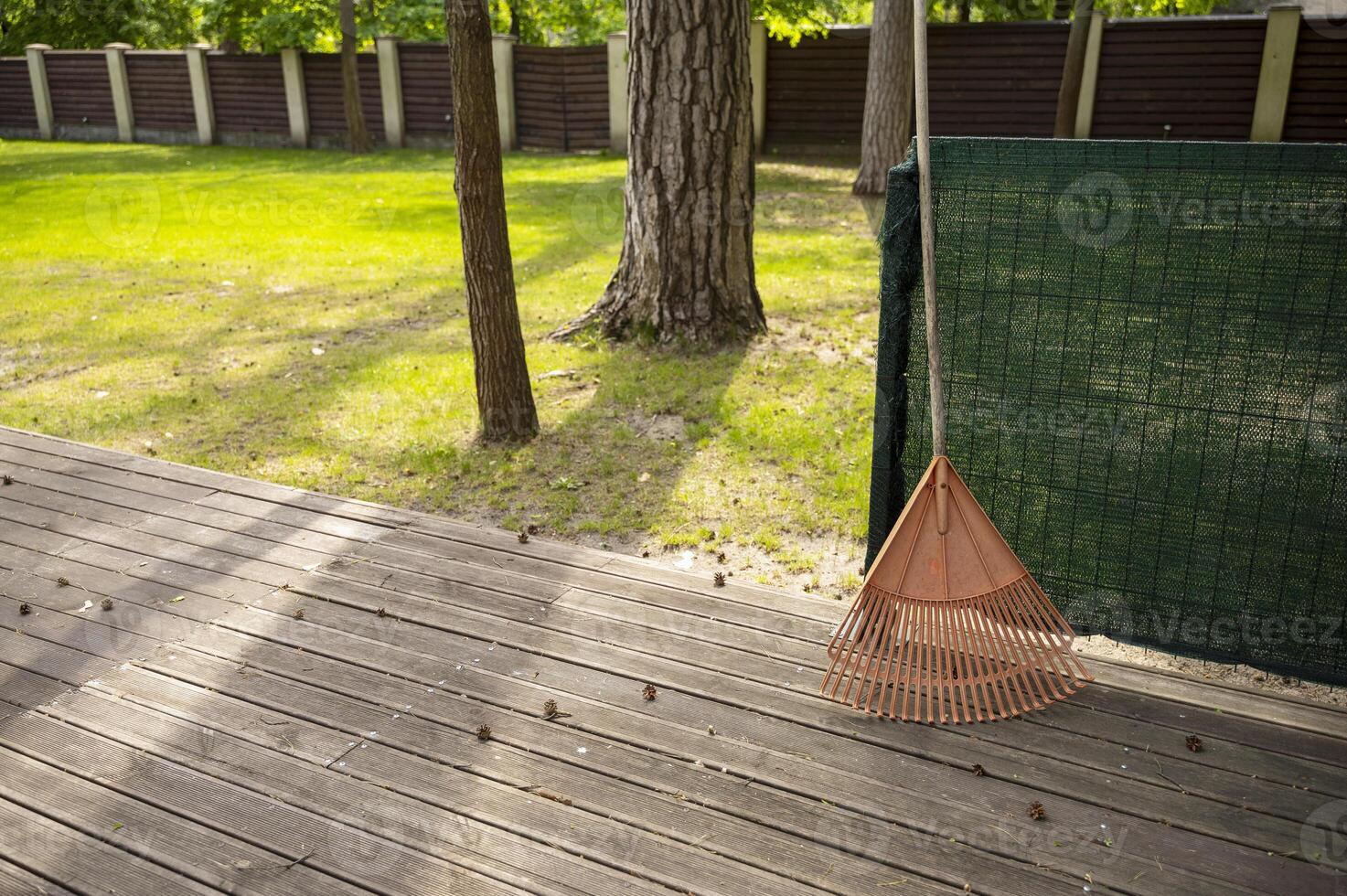 Close-up of an orange rake, with a park in the background. The park or yard is flooded with sun photo